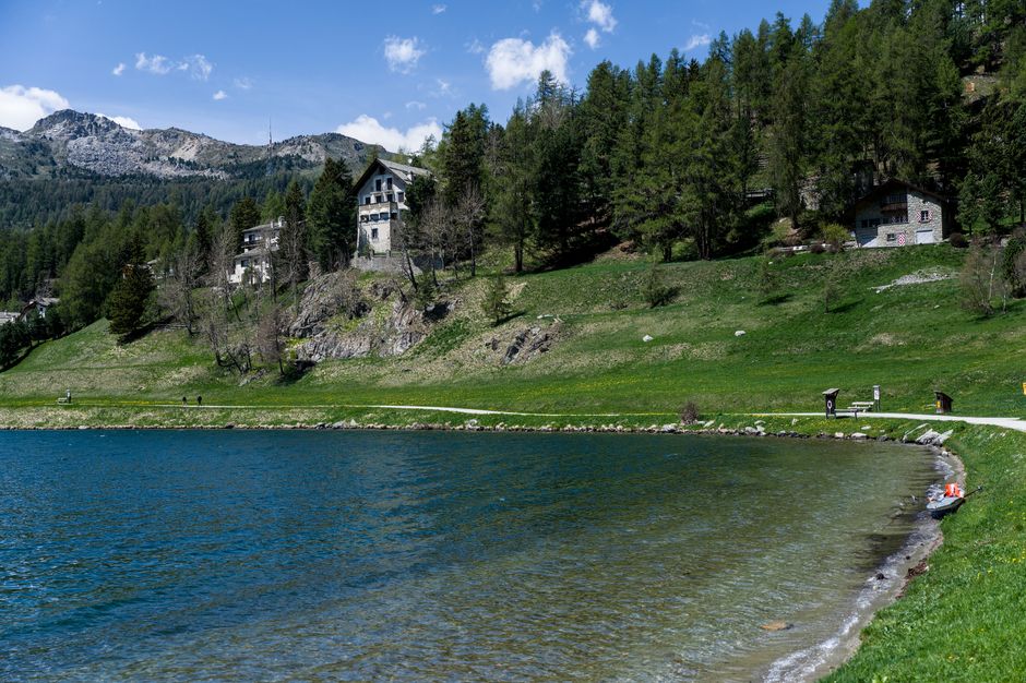 A scenic lakeside landscape features a calm, deep blue body of water in the foreground with gentle ripples on its surface. Along the shoreline, a narrow strip of dark sand and small rocks can be seen, separated from lush green grass stretching up a sloped hillside. The grassy slope is dotted with several scattered trees, some with bare branches, blending into a dense forest of evergreen trees that cover the hill and extend toward the background. On the hillside, a few residential houses with grey stone walls, dark roofs, and balconies are visible, nestled among the trees, positioned at varying heights. A paved path runs along the edge of the lake, with a few black bollards and benches lining it, and a small boat with orange life jackets can be seen near the water’s edge on the right side. The scene is illuminated by bright daylight with a partly cloudy sky, presenting a peaceful, natural environment suitable for private outdoor activities and quiet leisure, aligning with services for independent rubbish or waste removal in scenic areas such as Swiss Cottage.